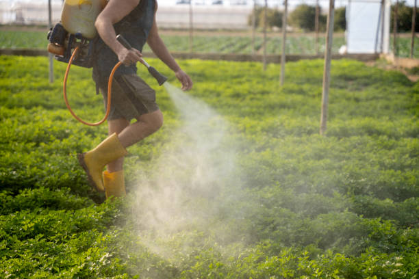 Best Affordable Pest Control Services  in Point Pleasant, NJ